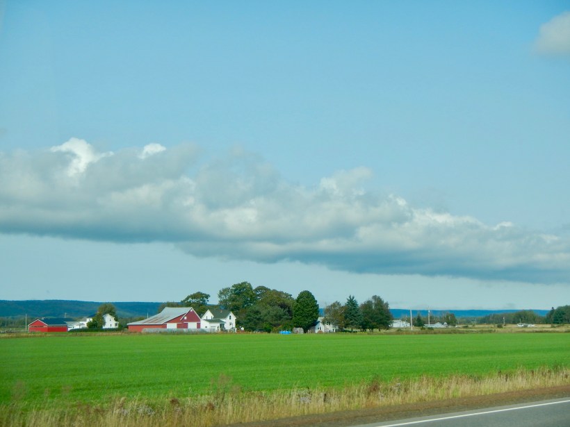 dscn8601