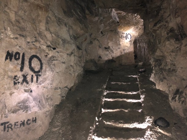 15562772-51E5-47DC-8C67-D4E36ED5AE8F