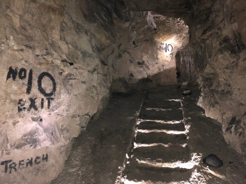 15562772-51E5-47DC-8C67-D4E36ED5AE8F