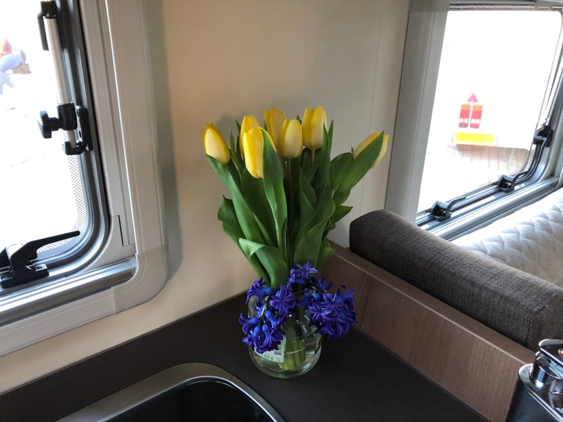 6C8D0EAC-13A4-4177-8255-A5CBE2B2DEA2