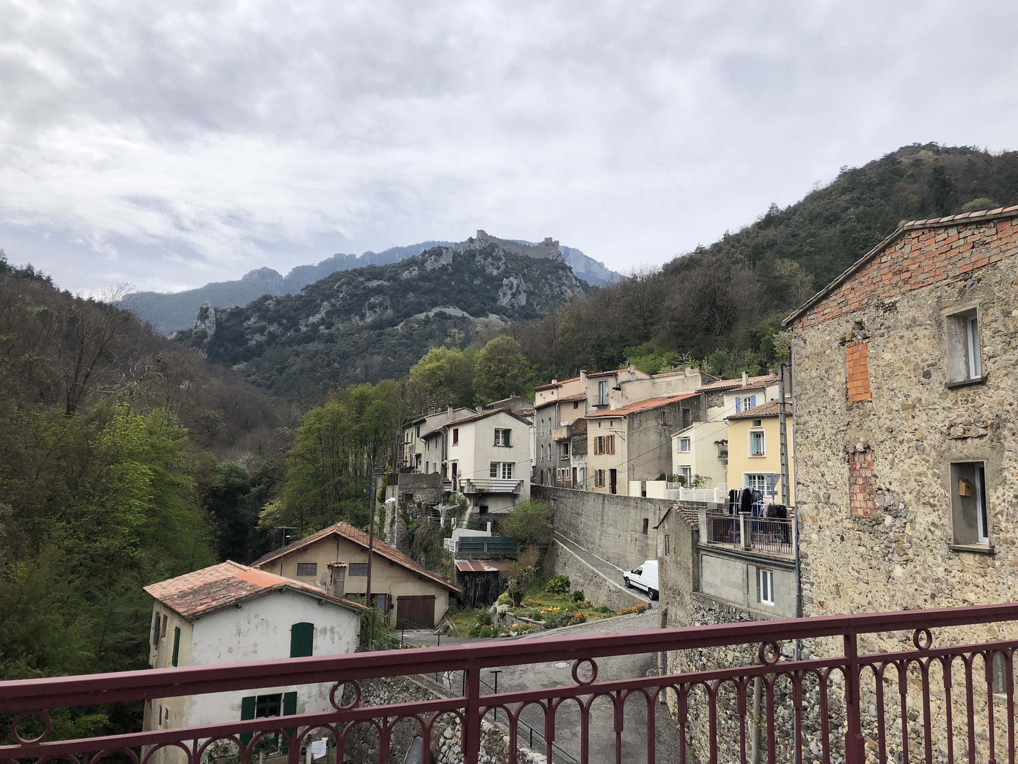 025D9534-7C61-40A1-949B-7B4509191B8C