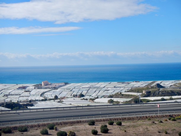 03C2A1D7-B5B1-430A-8F48-74FC90F10658