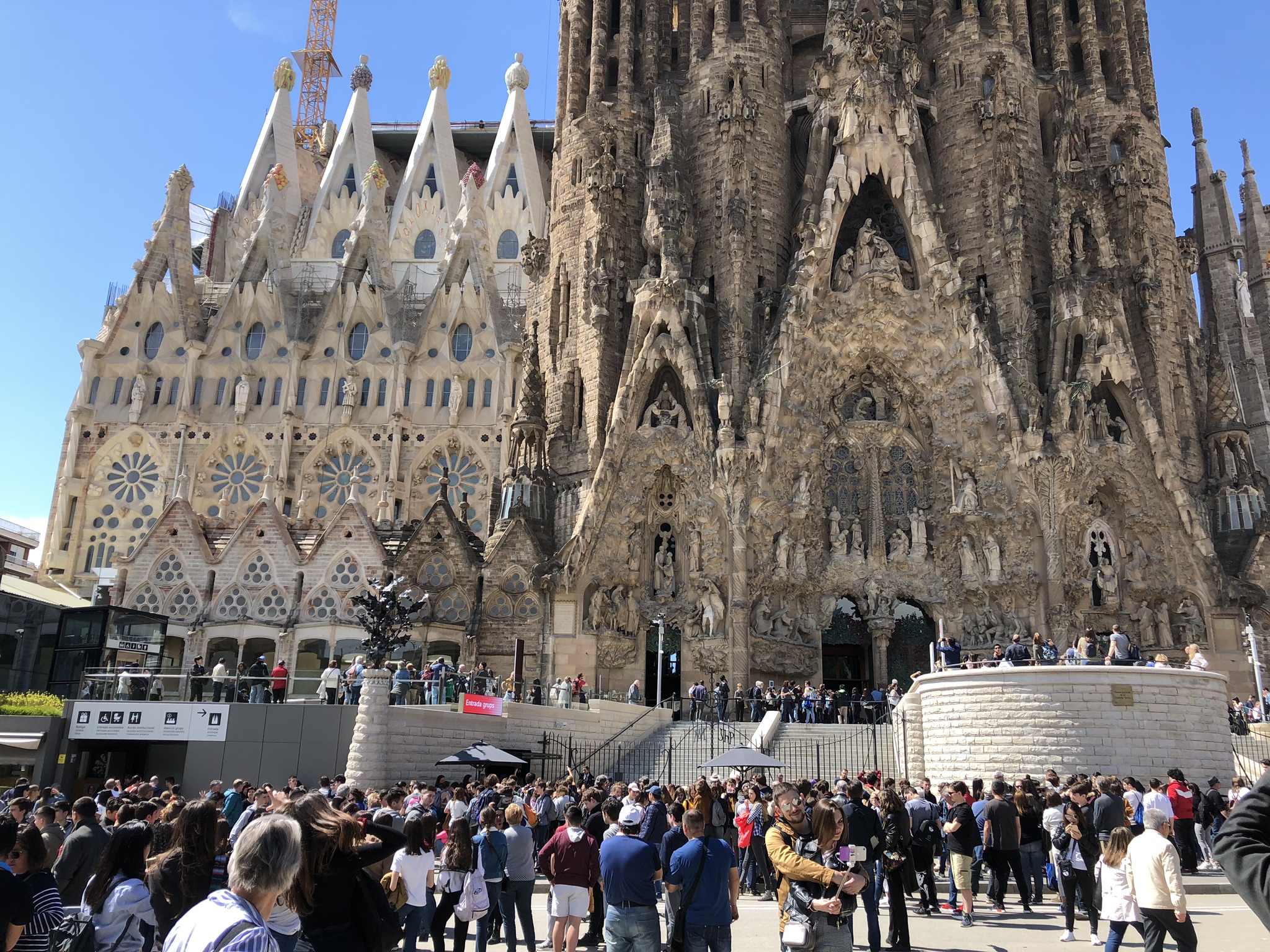 03EAFC8D-64E9-496E-84B9-29DB14B4275D