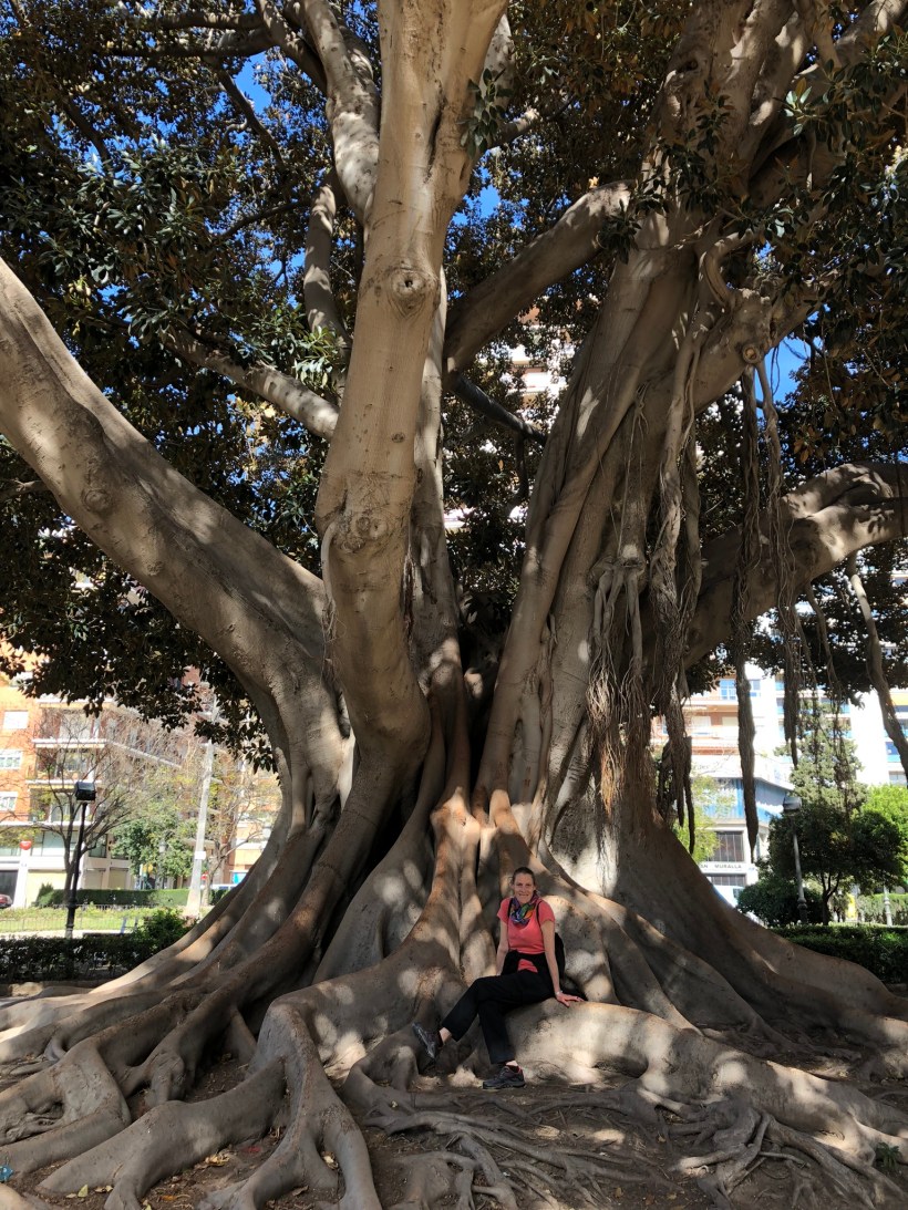 22544945-022C-4852-AC88-DE96867019FA