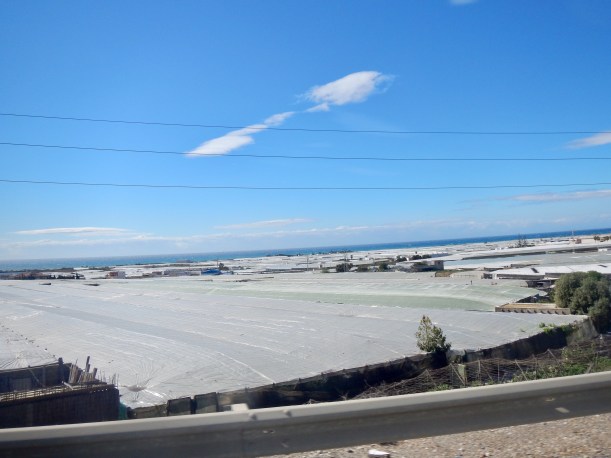 23CA7722-8374-417A-856B-2A4EAF05C378