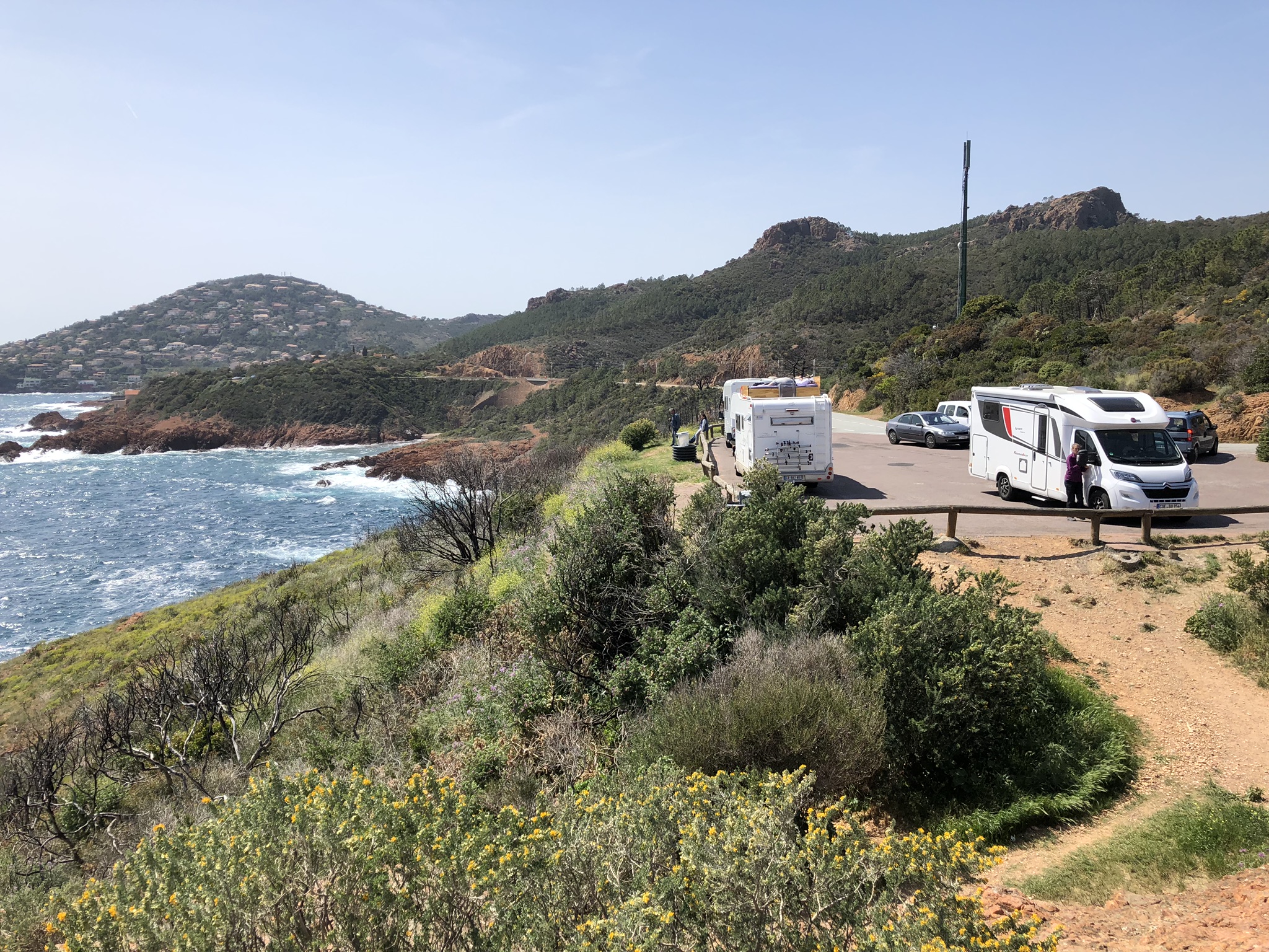 2DC1B56C-DEB9-45BD-A0DA-878B9237BF15