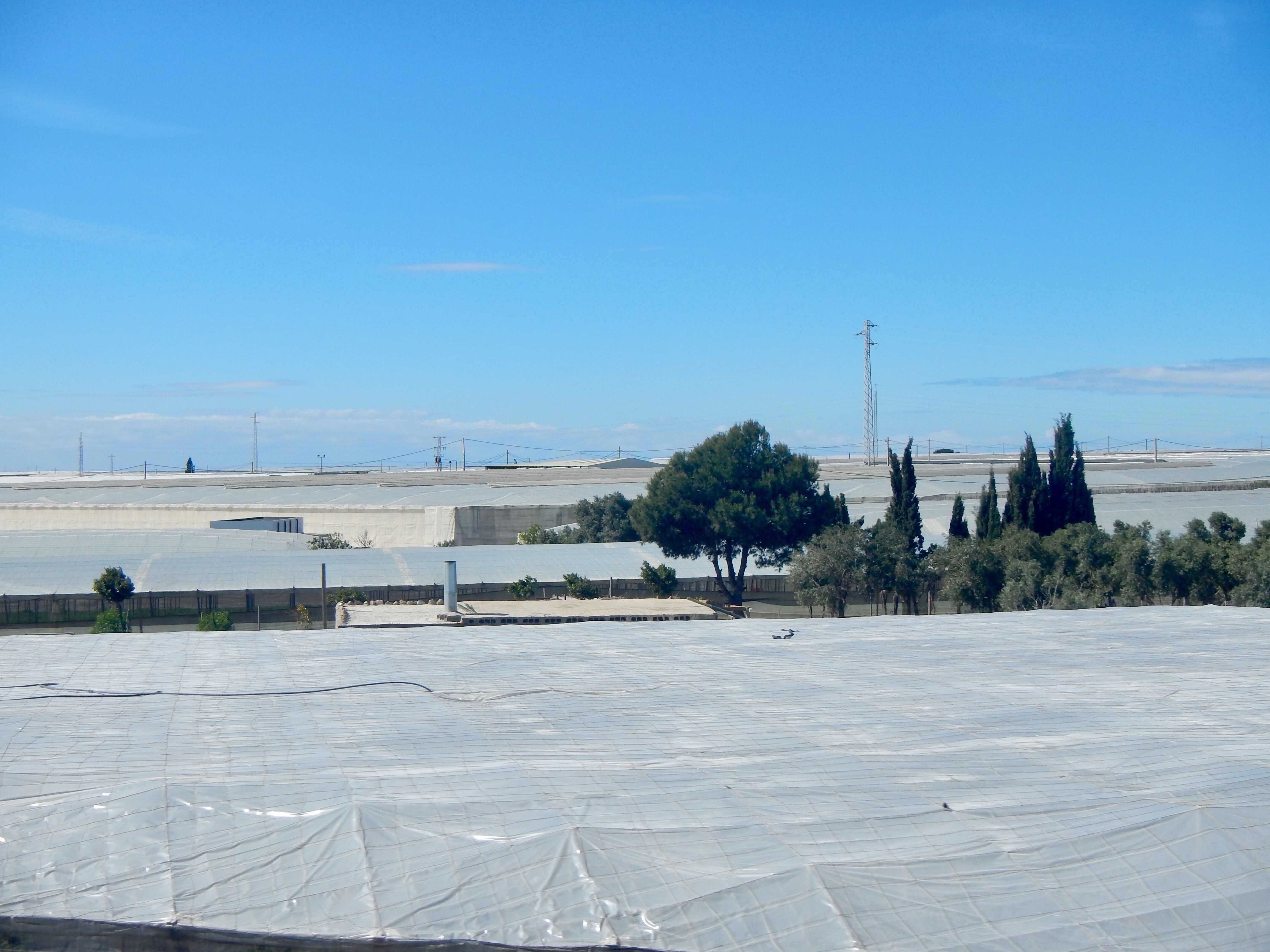 724AAE13-22C5-4D3B-95C1-124F8C5B00DD