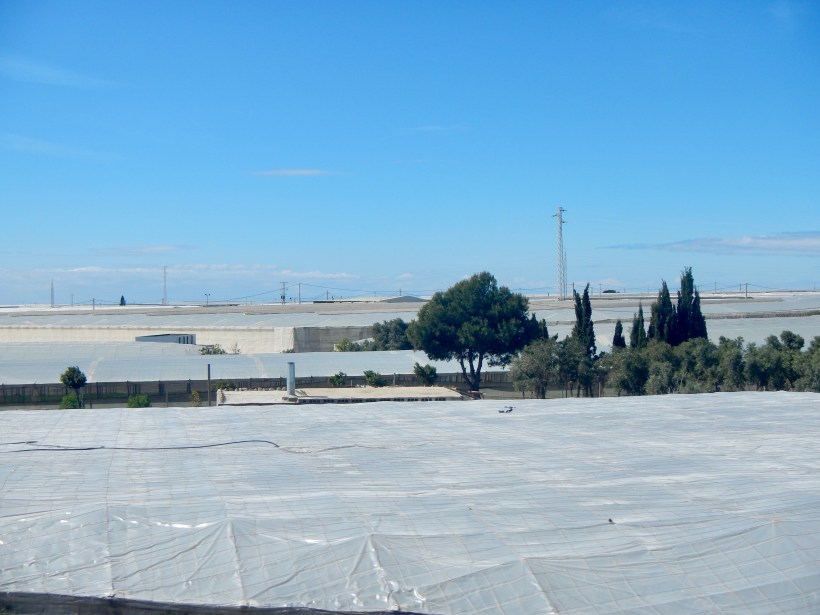 724AAE13-22C5-4D3B-95C1-124F8C5B00DD