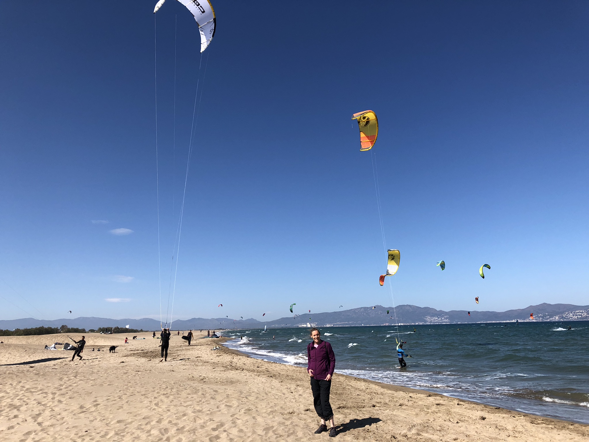 7355FD78-2A03-474D-BF7D-0D9137F79614