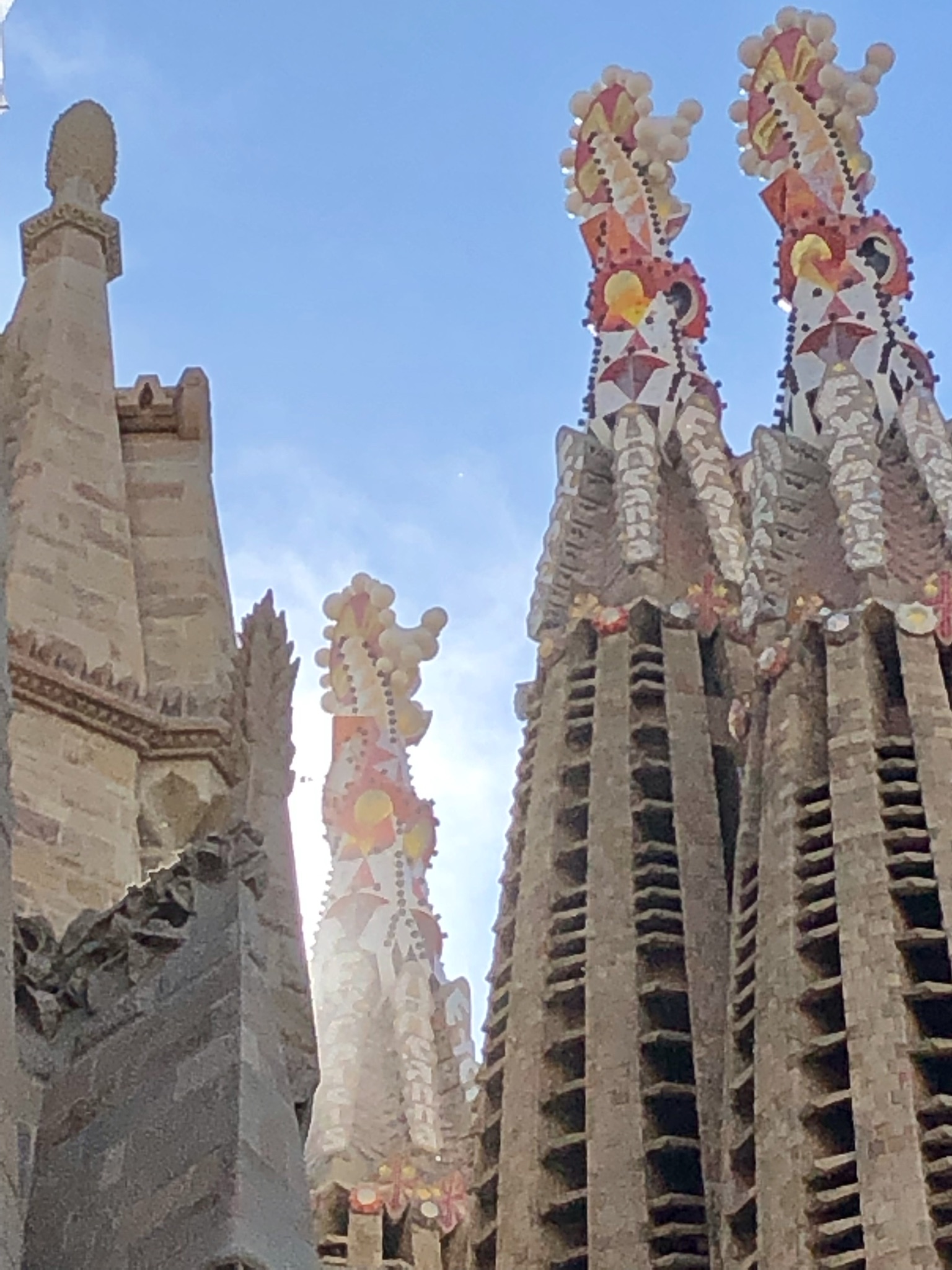 95F01EB5-CEB2-4B3E-8A08-4BAC5764B035