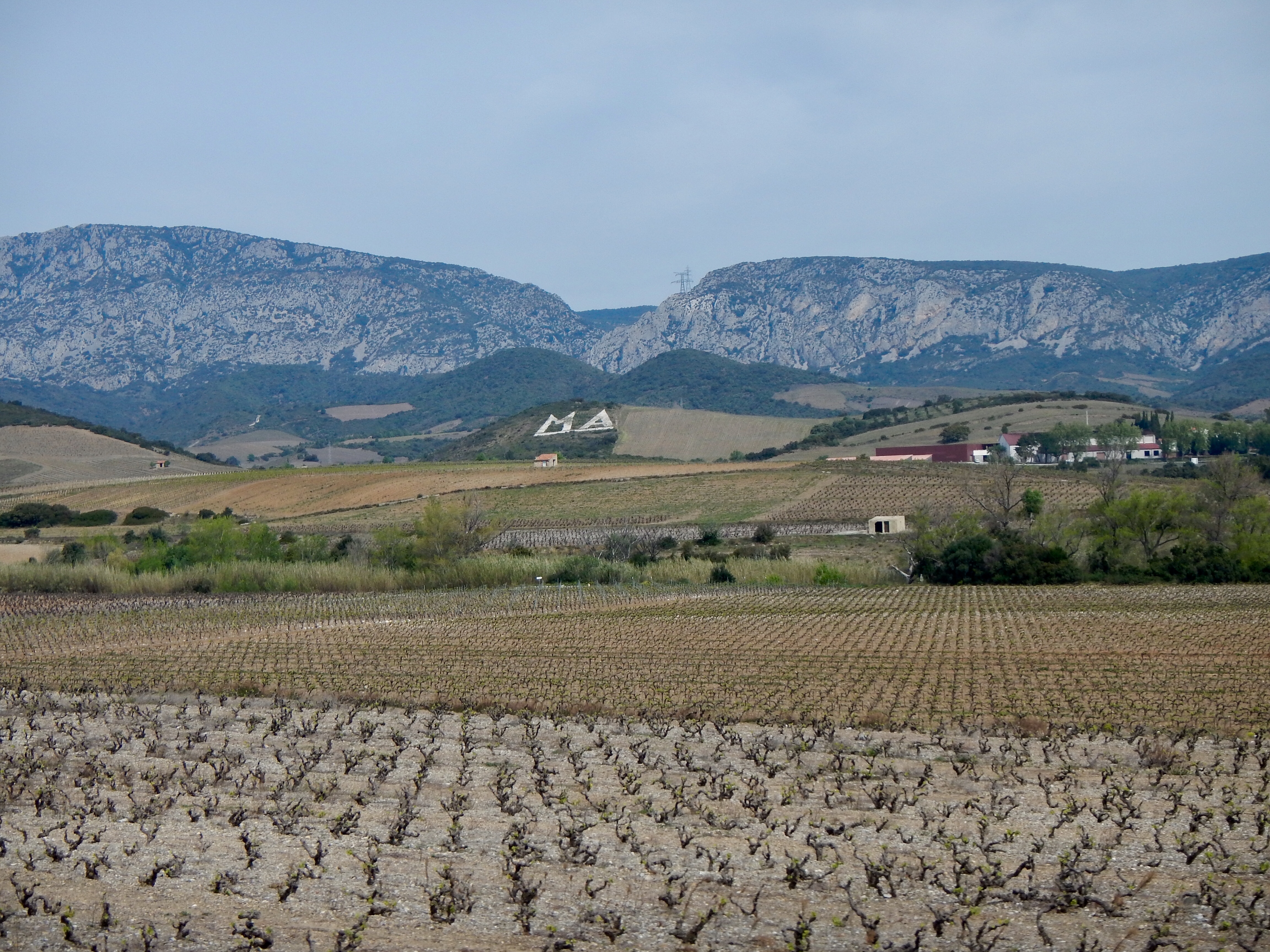 9885810E-807A-4AA9-8090-D02DC313BB7A