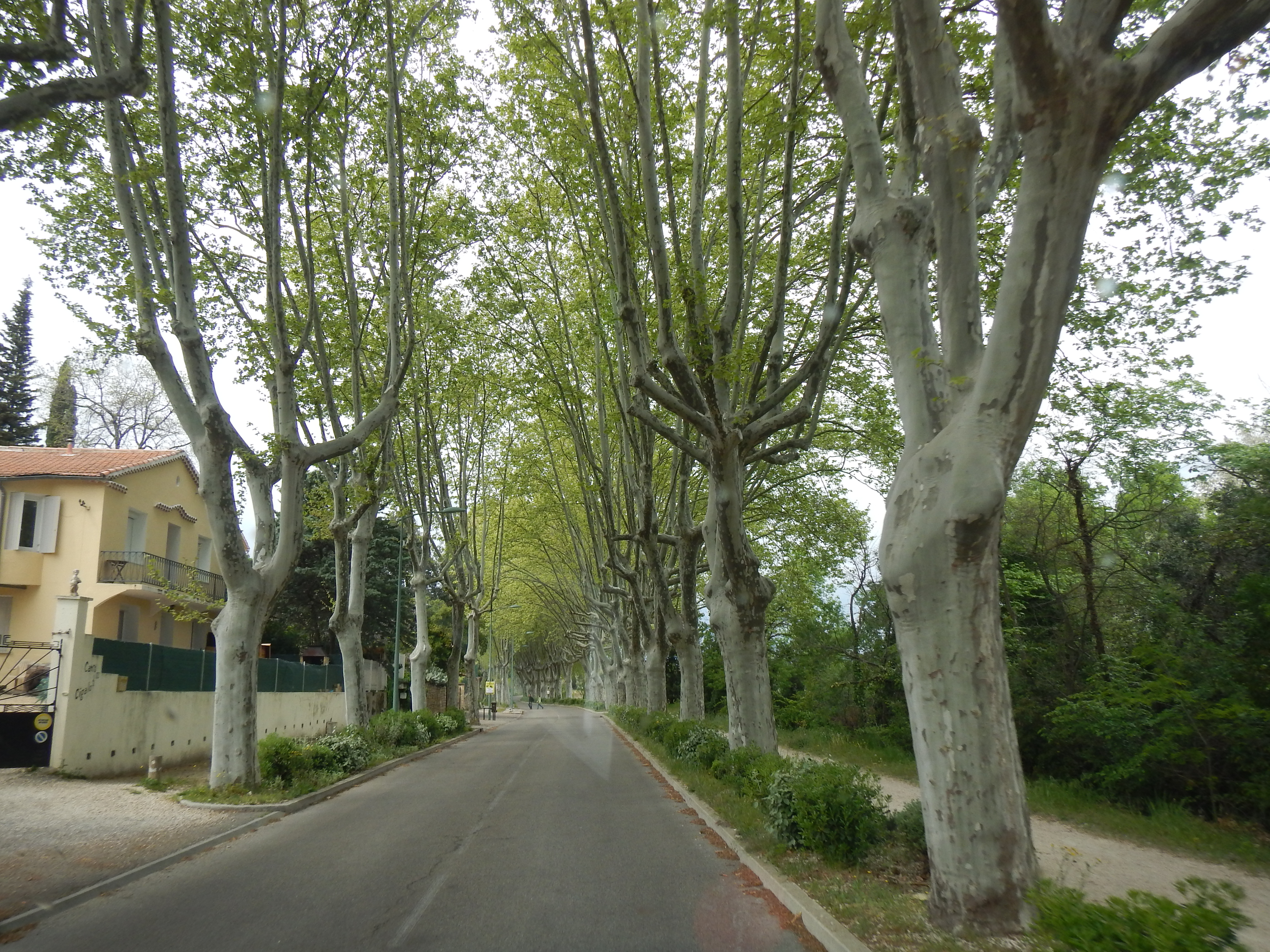 B7A4AC99-D1D1-409E-A7F9-71445E7D61C5