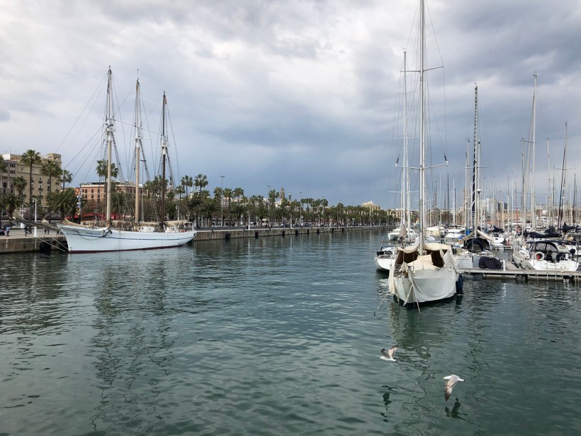 CDEF0A3B-CD4F-4573-ACF0-D73A5FC3EB49