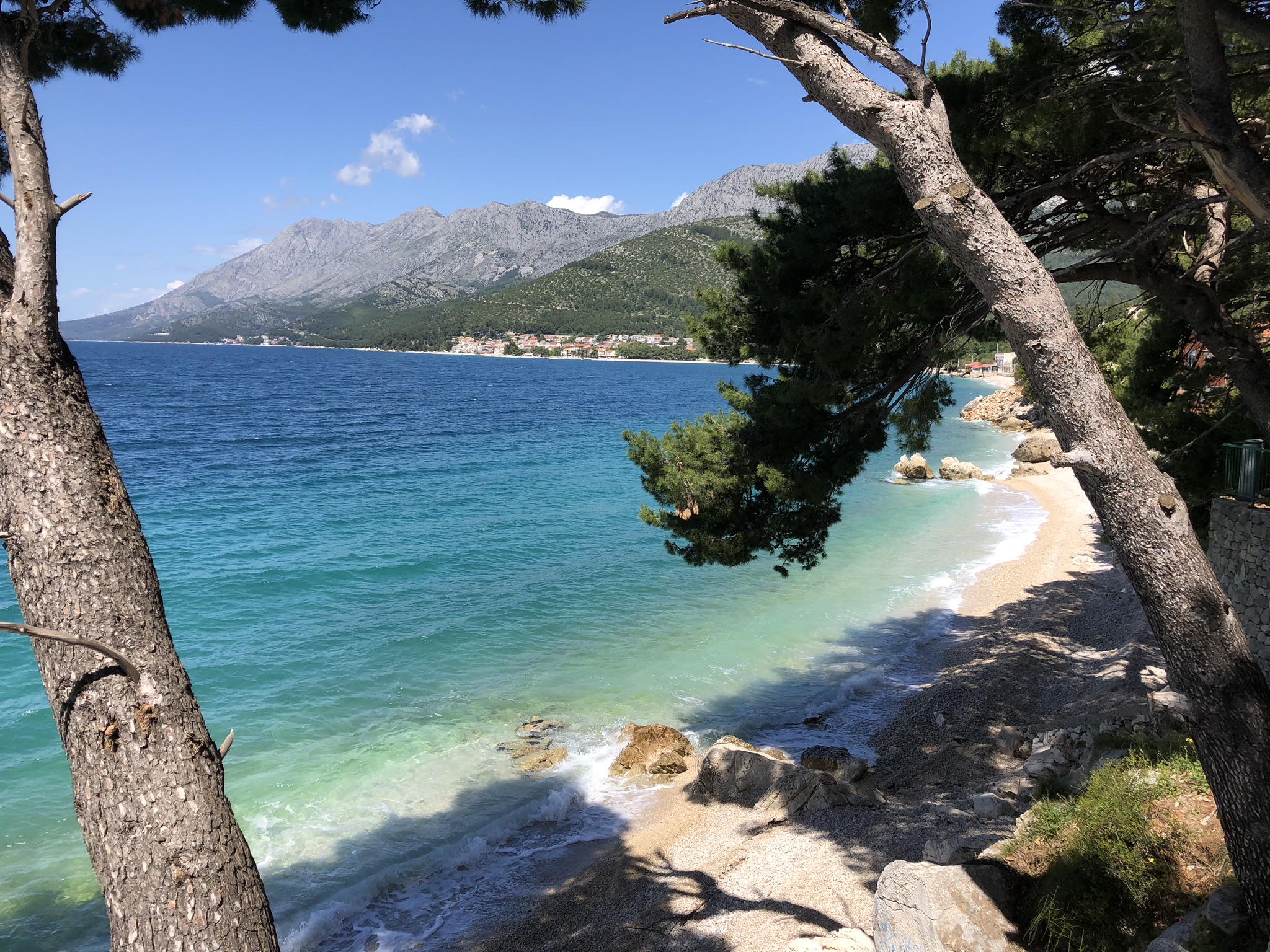 D6DFBB6E-27ED-4B49-9D00-74C4B0404E77