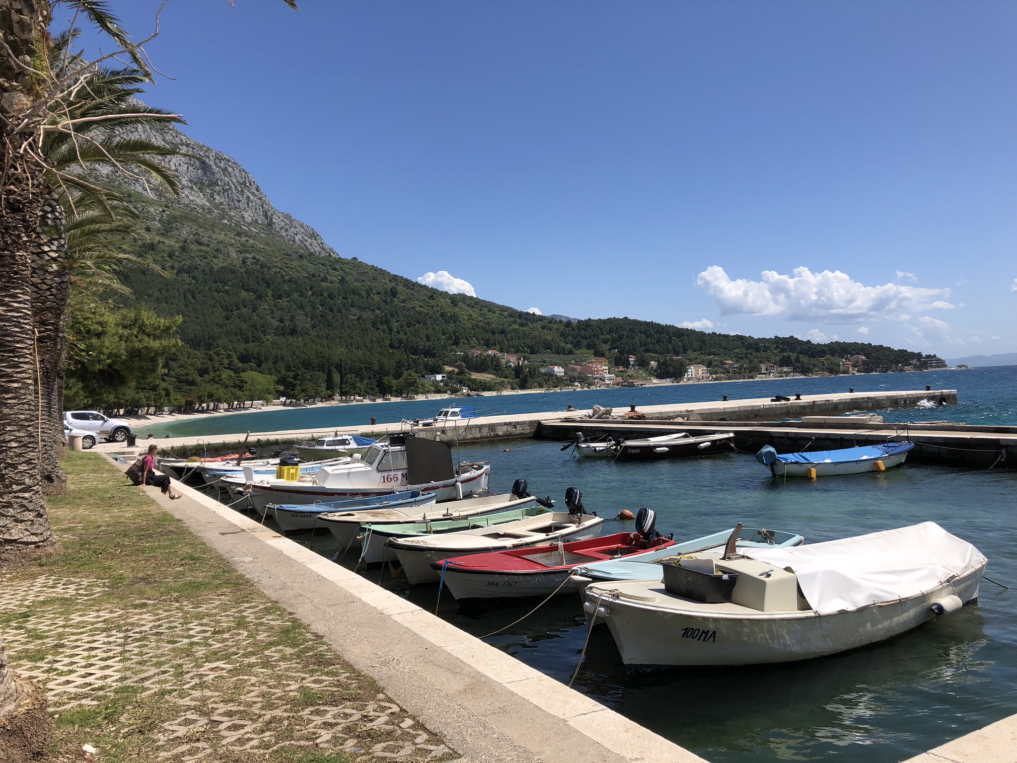 DBB3E734-668E-4602-B9E0-0F7D7278C3F7