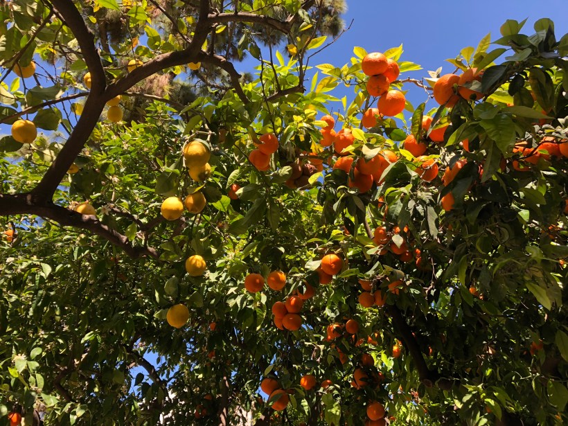 F240C831-0740-486A-A707-C4674DD3E786