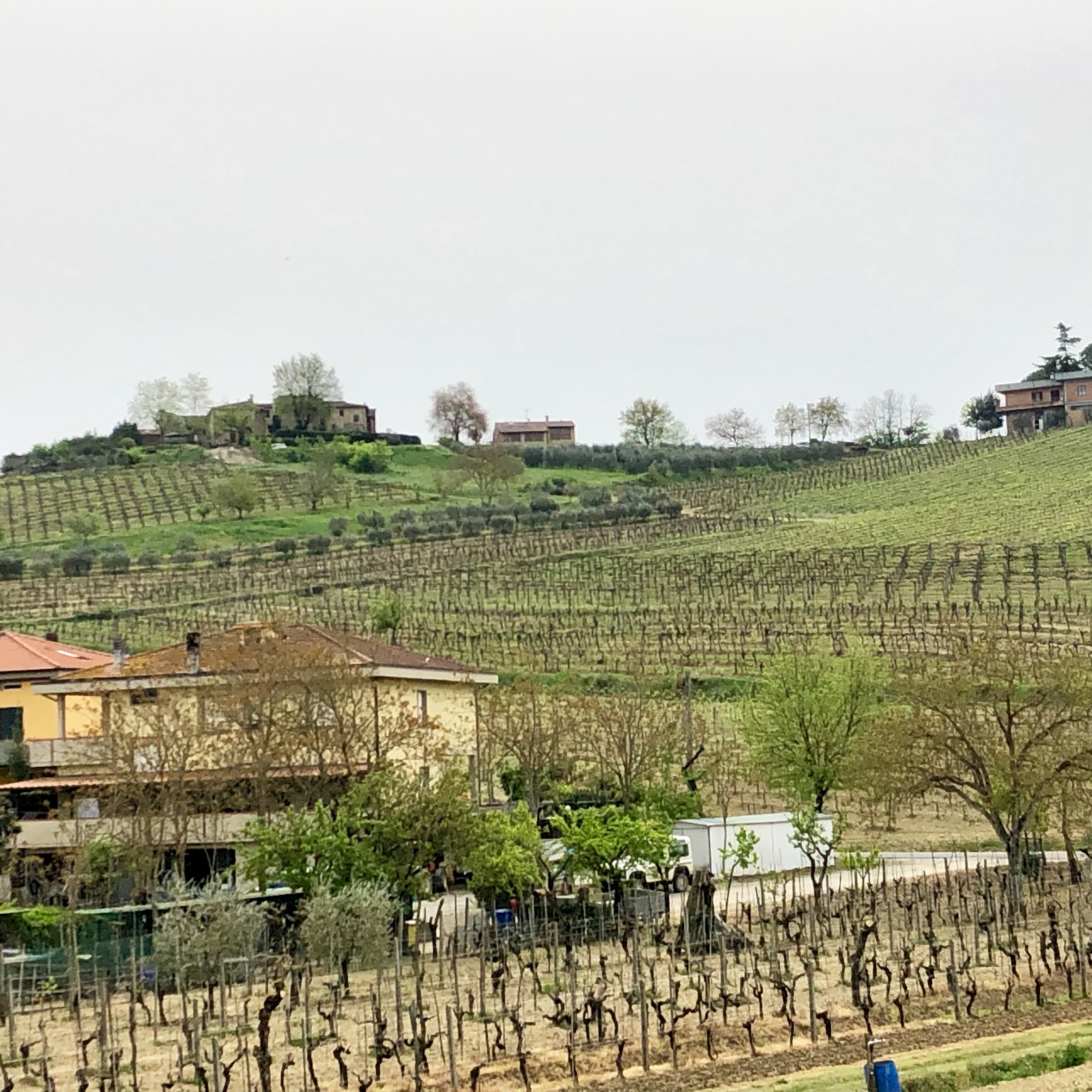 F9960D35-DA88-404B-AC55-C78681C4BE95