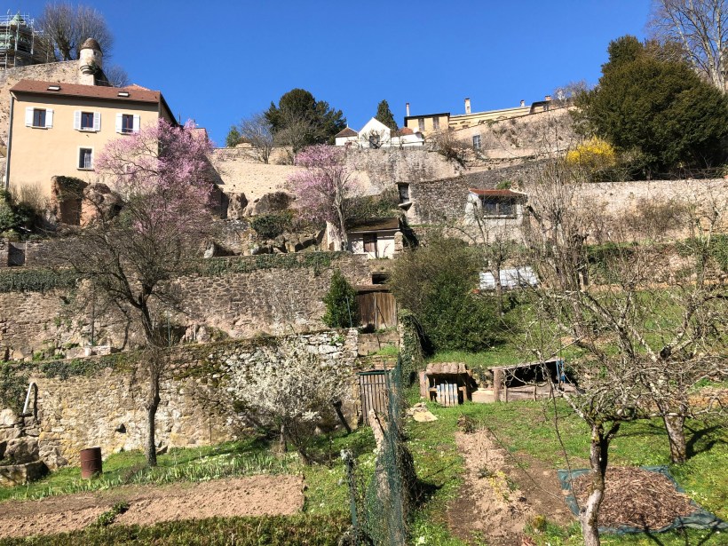 FC6C17D8-B21C-42CF-9860-AF9BF66F3867