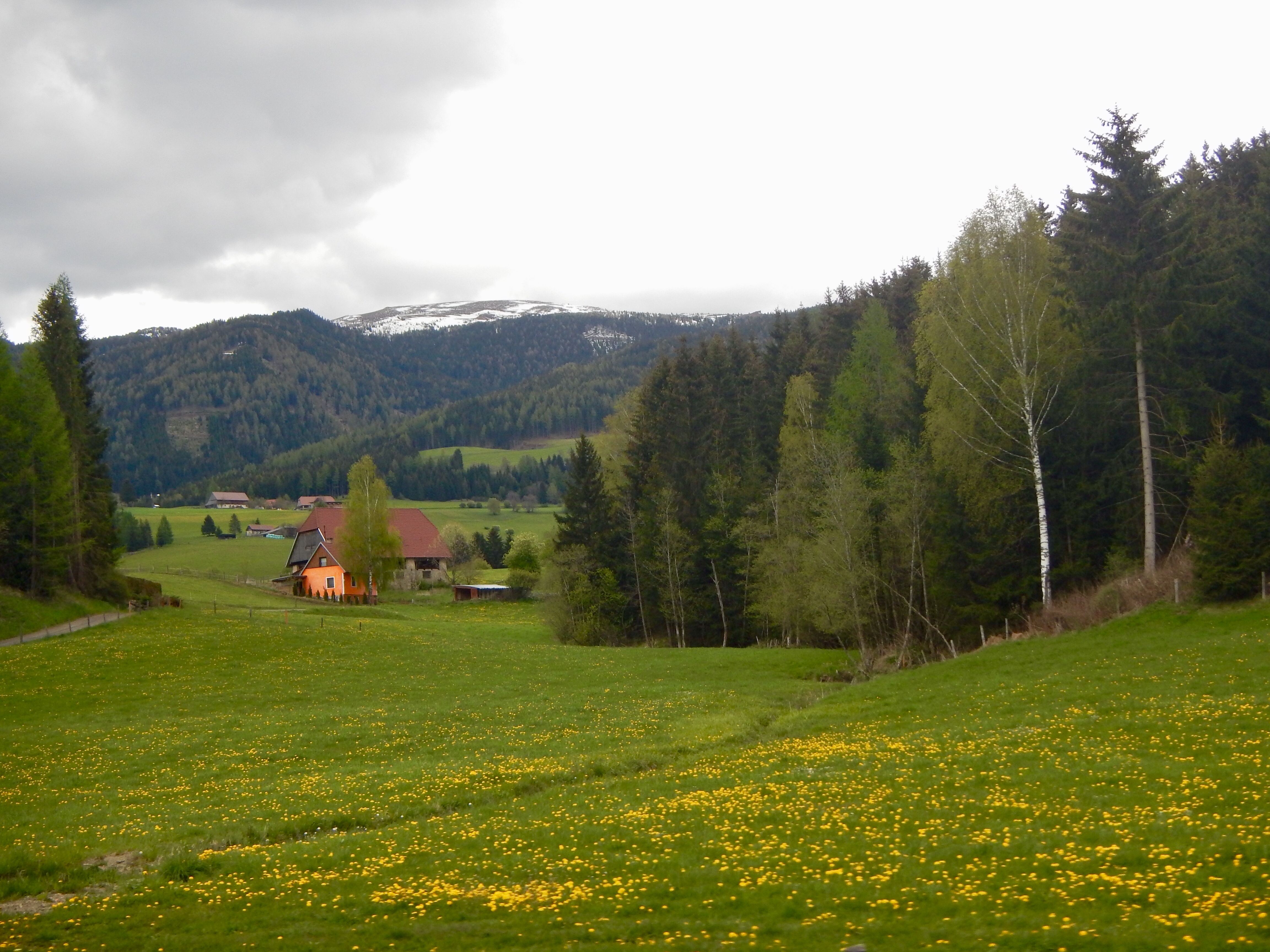 0529BC07-F675-4399-9CD9-C4100A524AE3