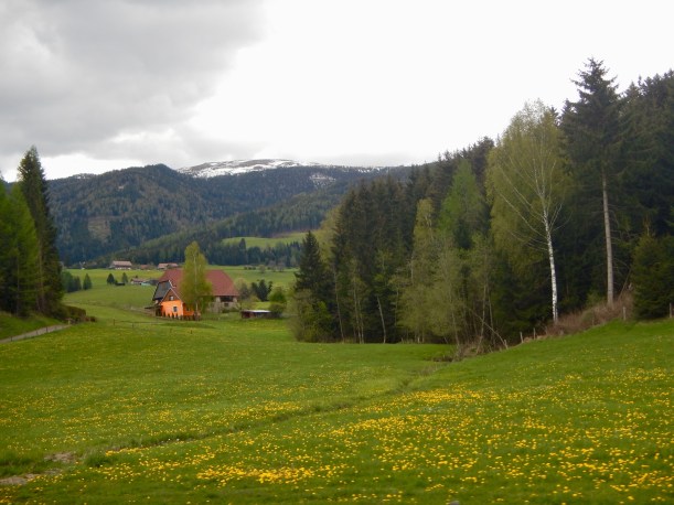 0529BC07-F675-4399-9CD9-C4100A524AE3