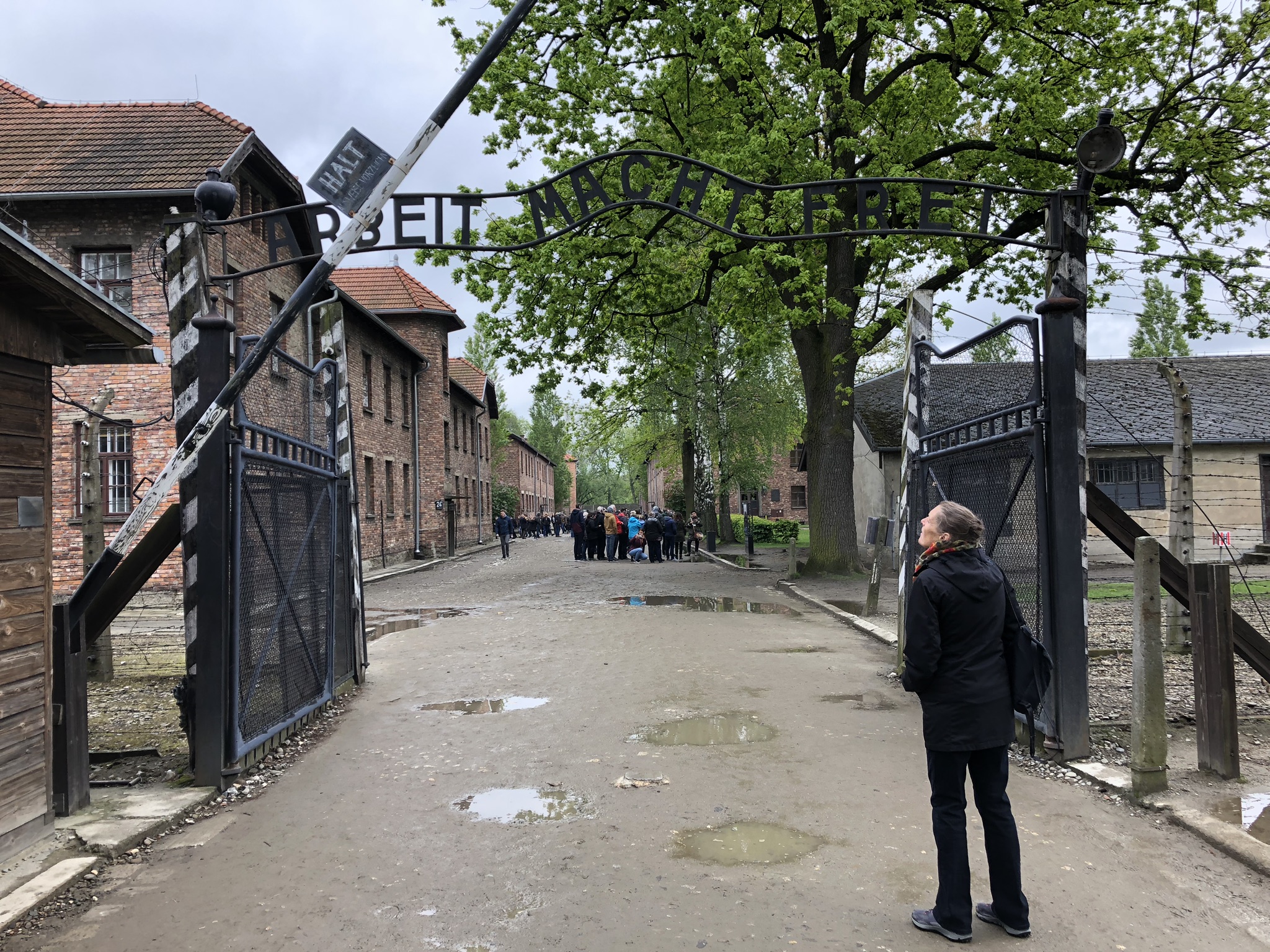 071782C4-942F-4FA0-9CFB-D8BAFB7F5647