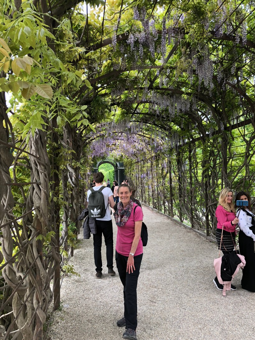 0F99C2DF-CF48-4006-AF24-5B3CBFF4E169