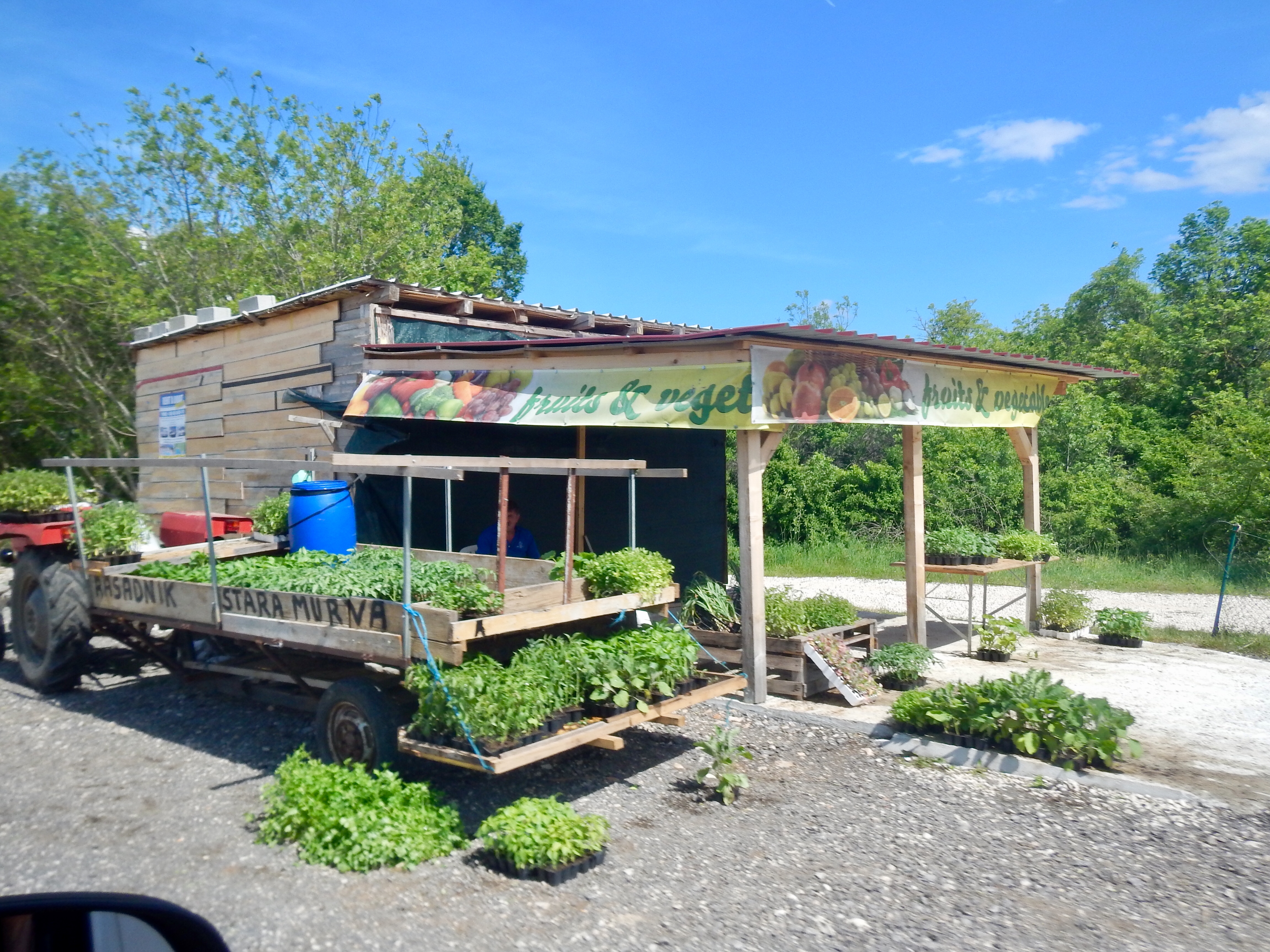 1415A562-AD36-4E69-AF59-8AF28E298B57