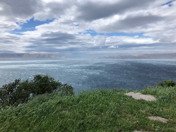 8095DFD5-1EE7-43E5-8203-1945C4EA1CA7