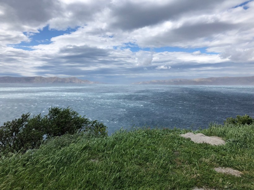 8095DFD5-1EE7-43E5-8203-1945C4EA1CA7