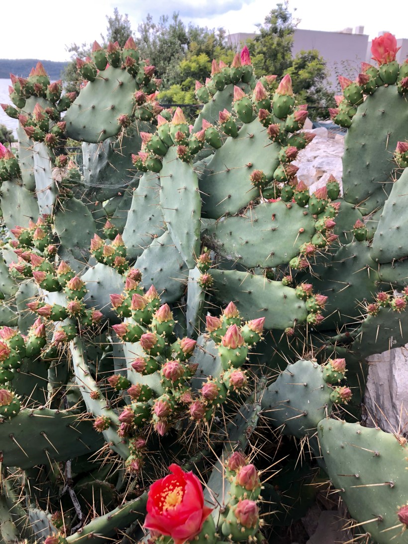 9D0108E8-C4B3-406A-9C59-E4506C765C28