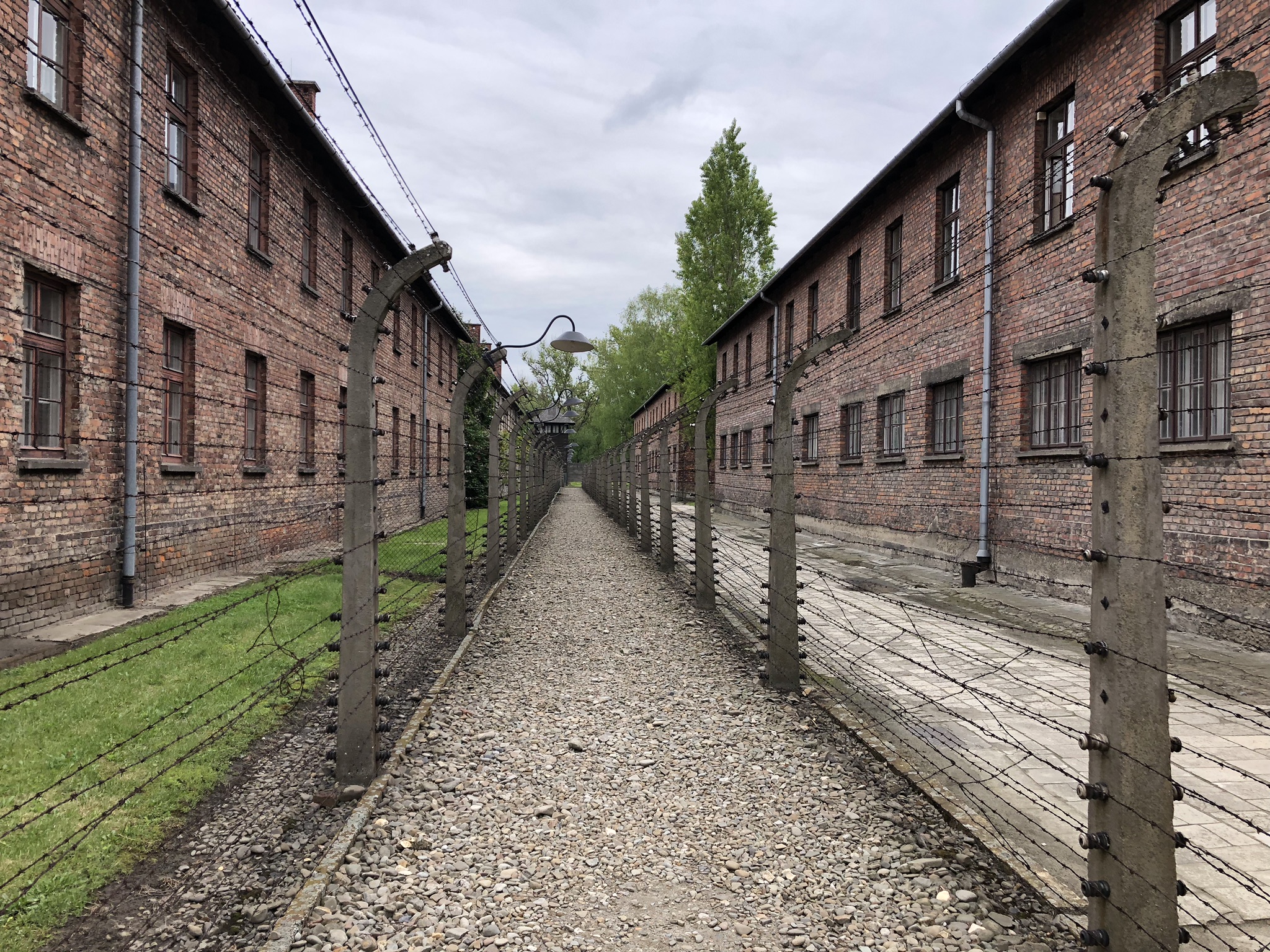 B9E1CA16-6762-4304-A773-01D73176D8DC