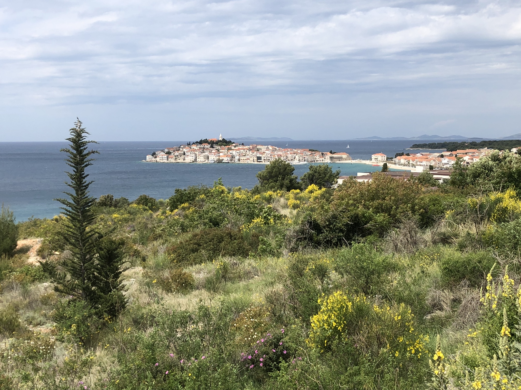 EFA32D39-AFDD-44D5-A45B-EB864823F283